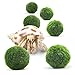 Luffy 6 Hermit Balls - Bright, Green, All Natural Aquatic Plants - Round 0.6” Nano Marimo Moss by SunGrow - for Freshwater and Saltwater Aquarium - Maintain Humidity - Supplement Hermit Crab Diets