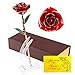 DuraRose Authentic Rose with Stand and Love Card, Everlasting Real Rose Stem Dipped in 24k Gold - Best Gift for Loves Ones. Ideal for Valentine's Day, Mother's Day, Anniversary, Birthday (Red)