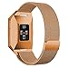 hooroor for Fitbit Ionic Bands Small and Large for Women Men, Fully Magnetic Closure Clasp Mesh Loop Milanese Stainless Steel Metal Band (Burnt Orange, Small)