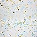 Mybbshower Metallic Gold Blue Wedding Paper Confetti Boy Birthday Baby Shower Party Decorations 5000 Plus
