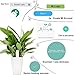 Vistefly Flowers Care Smart Sensor for Moisture, Sunlight,Tempt, Fertility 4 in 1 Soil test kit, Indoor/Outdoor Soil Tester & Gardening Tools, Plant Monitor for Home and Garden, Farm