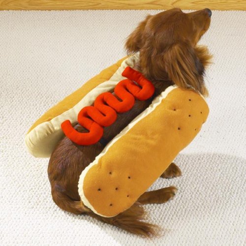 Casual Canine Hot Diggity Dog Pet Costume Mustard