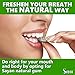 Sayan Sugar-Free All Natural Siberian Larch Tree Resin and Beeswax Chewing Gum – 6 Packs (96 Pieces) for Fresh Breath – Vegetarian, Non-GMO, Gluten Free, Aspartame Free, No Preservatives