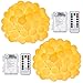 DecorNova Globe String Lights, 16.4 Feet 50 LED Battery Operated Fairy Lights with 3 AA Battery Case, Remote & 8 Modes for Christmas Party Bedroom Wedding Decorations, Warm White (Set of 2)