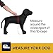 Ruffwear, Front Range Dog Harness, Reflective Soft Padded Everyday Harness with Dual Leash Clips, Adjustable and Lightweight Fit for Training or Walking for All Dogs, Tillandsia Purple, X-Small