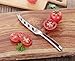 Cangshan N1 Series German Steel Forged Tomato and Cheese Knife, 5