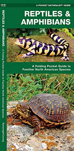 image for POCKET NATURALIST Reptiles & Amphibians: A Folding Pocket Guide to Fam