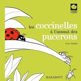 Les  coccinelles à l'assaut des pucerons