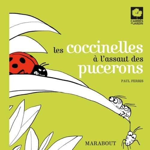 Les  coccinelles à l'assaut des pucerons