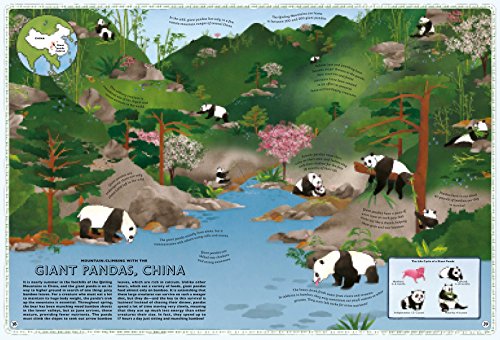 Atlas of Animal Adventures: A collection of nature's most unmissable events, epic migrations and extraordinary behaviours - Thumbnail 3