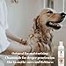 Wags & Cuddles Oatmeal Dog and Puppy Shampoo Wash for Dry Itchy Smelly Skin | Tear Free with Chamomile and Aloe Natural Soothing Formula | Concentrated Vanilla Mint Scent