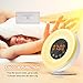 SOLMORE Wake Up Light Alarm Clock Digital LED Alarm Clock with Sunrise Simulation, 7 Colors Night Light, 6 Nature Sounds, FM Radio for Bedrooms Bedside and Kids Digital Clock