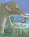 Siam by