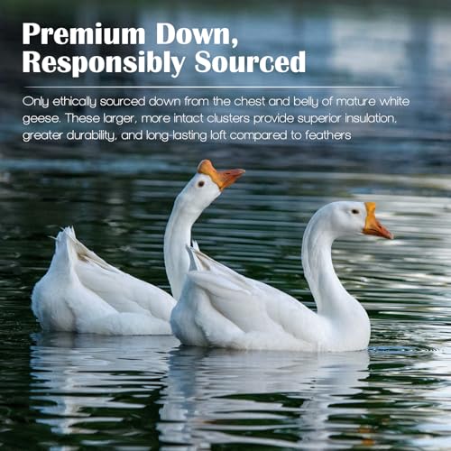 SWITTE 80% Goose Down Duvet Queen Size,Hotel-Like 100% Organic Cotton Shell 800 TC Bedding Down Comforters,700+ Fill Power Heavyweight Thickened Duvet Insert,White(90x90inch)