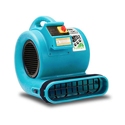 B-Air Grizzly Gp-1 1 HP Air Grizzly Mover Carpet Dryer Floor Fan for Water Damage Restoration & Pet Cage Dryer Turquoise