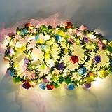 Homeleo 6-Pack Light Up Flower Crown for Christmas New Year Party, LED Rose Flower Light Up Tiara, Xmas Wreath Garland Headband, Halloween Fairy Make up Headdress