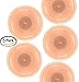 Advion Ant Bait Arenas - 5 PACK