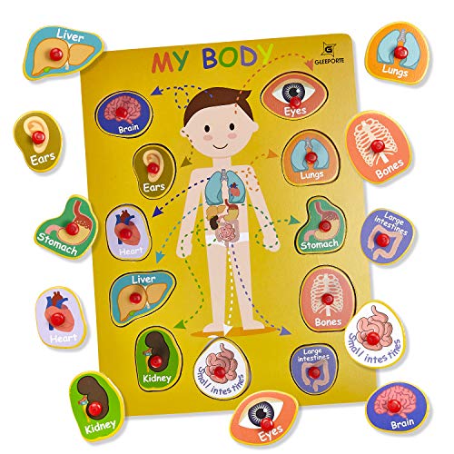 2 Wooden+Peg+Puzzle+Body+Educational