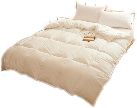 Amazon 二人のキルトスーパー厚手の寝具の冬の日のホームには キルト夏のクールなキルトを温める必要があります シングル 布団カバー 冬の厚い暖かい Size 2 230cm 2kg 敷きふとん オンライン通販