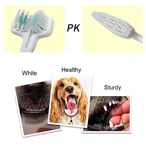 NICO SEE WONDER Dog Toothbrush Cat Dental Care Kit, 6 PCS Soft Bristles Pet Set with Cats & Dogs Finger Brushes, Long Handle Toothbrushes for Small Breeds