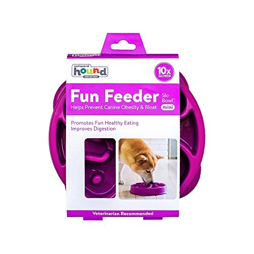 Outward Hound Fun Feeder Dog Bowl Slow Feeder Stop Bloat For Dogs