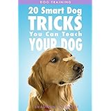 Dog Training: 20 Smart Dog Tricks You Can Teach Your Dog