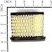 Briggs & Stratton 697029 Oval Air Filter Cartridge
