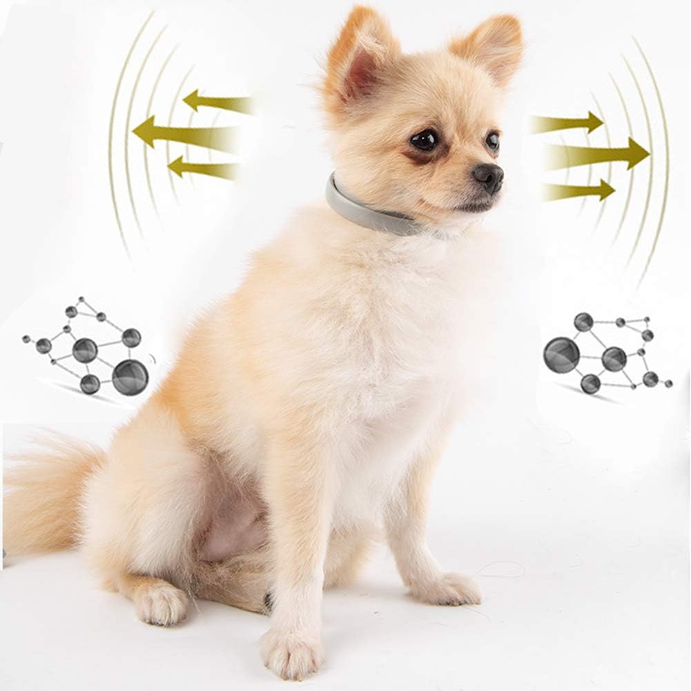 Amazon Co Jp ゴキブリゴキブリワーム猫に加えて ノミの首輪に添加すると 蚊犬の首輪を犬 64 5cm ホーム キッチン Amazon Co Jp ゴキブリゴキブリワーム猫に加えて ノミの首輪に添加すると 蚊犬の首輪を犬 64 5cm ホーム キッチン