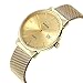 WWOOR Men's Analog Quartz Watch Waterproof Sport Steel Mesh Strap Thin Wristwatches Auto Date
