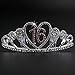 PIXNOR Birthday Party Rhinestone Crystal Tiara Crown - Sweet 16 Birthday Tiara