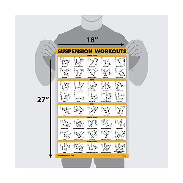 10 Pack - Exercise Workout Poster Set - Dumbbell, Suspension, Kettlebell, Resistance Bands, Stretching, Bodyweight, Barbell, Yoga Poses, Exercise Ball, Muscular System Chart (LAMINATED,18" x 24") - Image 4