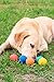 Arospa Colorful Super Bouncy Rubber Dog Fetch Ball 5 Colors/Pack (Colorful)