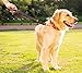 FAIRWIN Leather Short Dog Leash 16