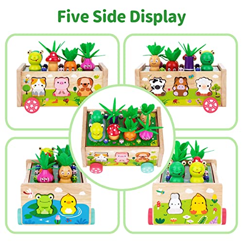 Montessori Wooden Toddler Toys for 1 2 3 Years Old Boys Girls, Shape Sorting Toys First Birthday Gifts for 1-2 Years, Wood Animal Farm Car Preschool Educational Fine Motor Skills Toy