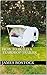 How to build a teardrop trailer
