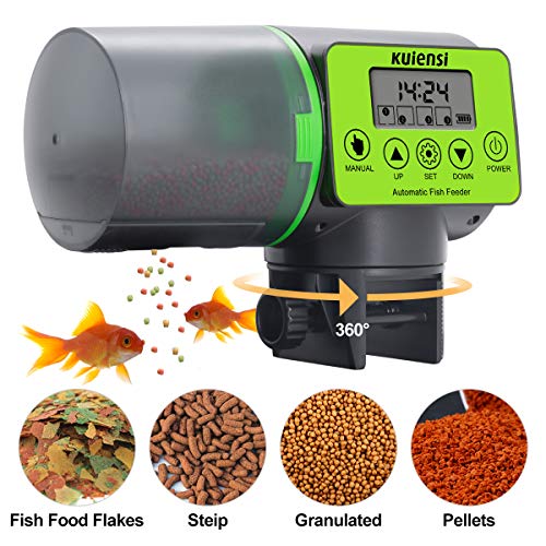 Top 10 Fish Food Dispenser Automatic of 2020 No Place Called Home