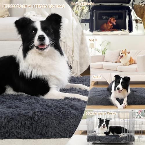 MUJA 105*70*9CM Cama para Perro Grandes, Cama Ortopédica para Perros con Almohadillas para Orejas Extraíbles y Parte Inferior Antideslizante, Adecuado para Casa para Perro, Pisos y Sofás (X-Large)