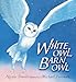 White Owl, Barn Owl (Read and Wonder)