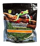 Galápagos (05266) MossVine, Real Moss Vine, Natural, 12FT