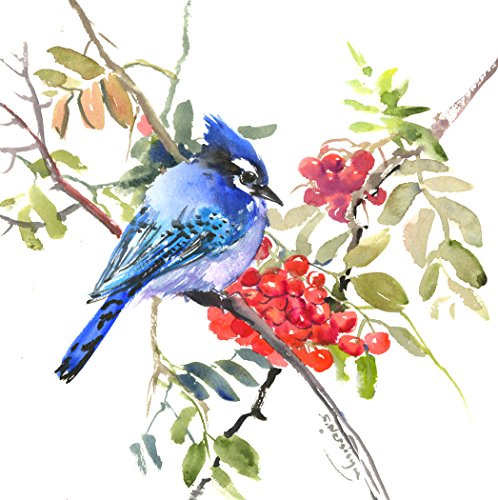 Blue Jay and Rowan