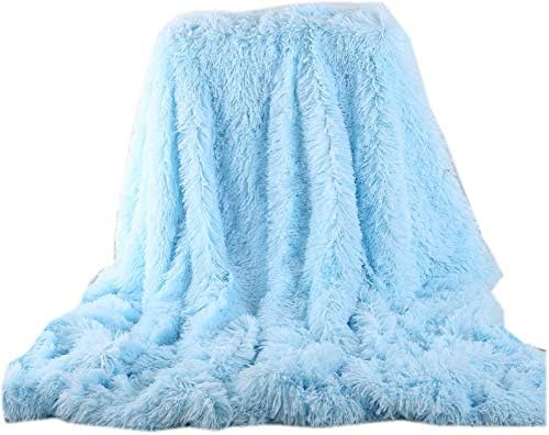 Soffte Cloud Super Soft Long Shaggy Warm Plush Fannel Blanket Throw Qulit Cozy Couch Blanket for Winter Twin Light Blue(63"x79")