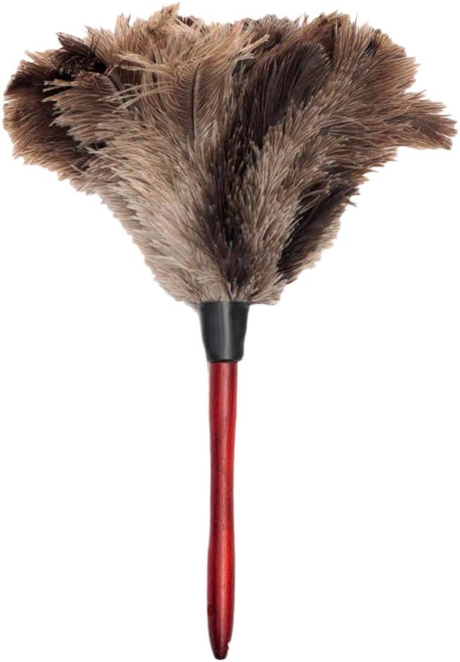 Sandis Ostrich Cleaning Feather Duster Ostrich Duster Ostrich Feather Duster Soft Feathers Duster From Furniture To Fan Blades