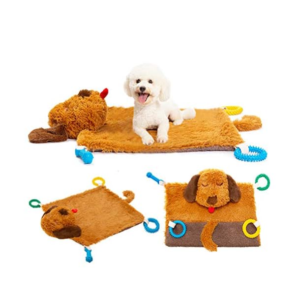 dog play mat