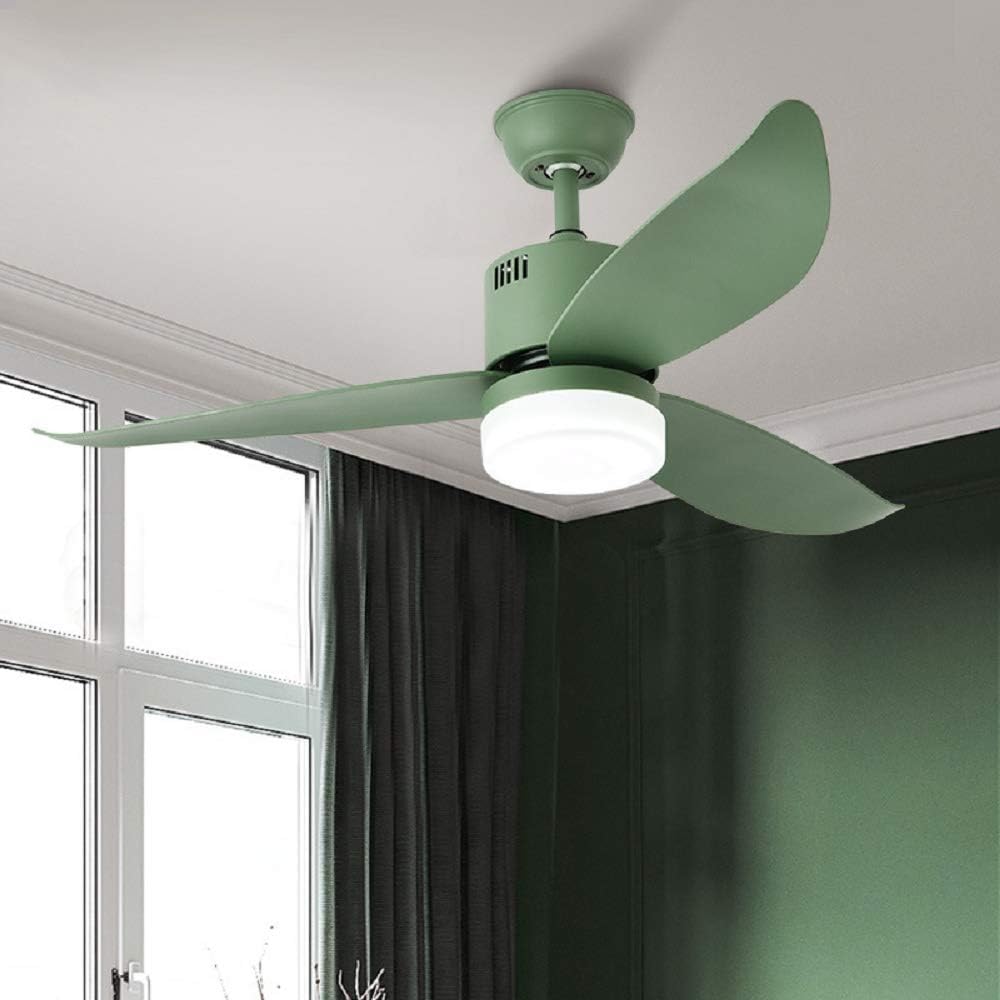 Le Fan Nordic Simple Ceiling Fan Light Living Room Bedroom Dining