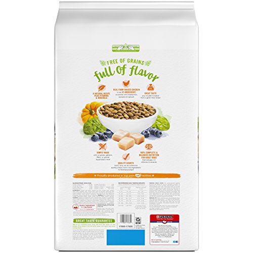 beneful grain free