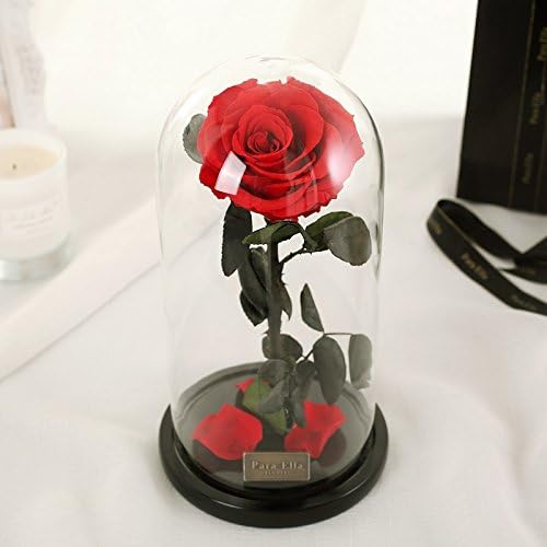 Beauty And The Beast Red Rose, Preserved Fresh Flower with Fallen Petals in a Glass Best Gifts for Lovers ! with Exquisite Gift Box