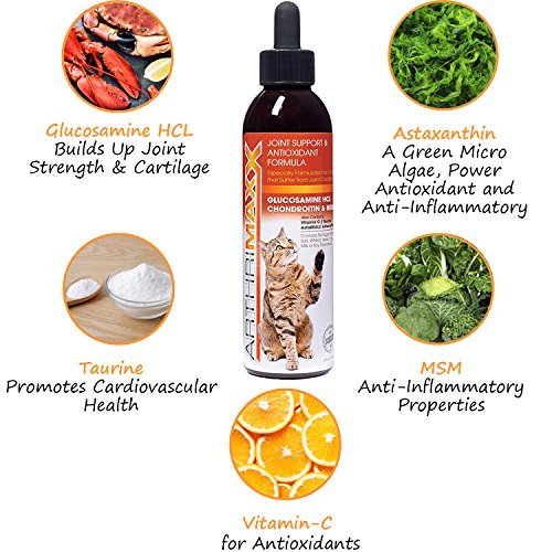 ArthriMaxx Wellness Supplement & Liquid Joint Support for Cats, 6oz