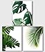 Monstera, Banana, Palm Leaf Prints, Set Of 3, Tropical Leaves, 8 x 10 Inches, Unframed