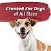 Purina Beneful Baked Delights Hugs With Real Beef and Cheese Oven Baked Dog Treats Produced in USA Facilities