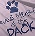 Brisco Brands Newest Member Of The Pack Paw Print Baby Romper Boys or Girls